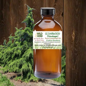 CEDARWOOD ORGANIC (Himalayan) Essential Oil | Full Strength, Pure, Fresh | Choose Size | Natural Woodsy Type Scent | Therapeutic Grade Oil