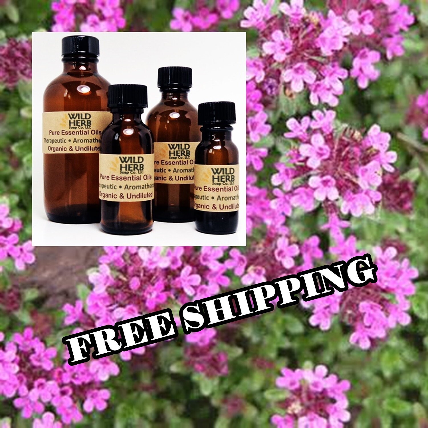 ORGANIC THYME Essential Oil (Red) | Use on Skin, Body Products, Natur…