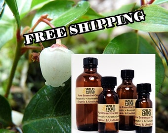 ORGANIC WINTERGREEN Pure Essential Oil | Uncut, Full Strength, Distiller Direct | Fast Free Shipping | Wholesale Pricing + Bulk Sizes
