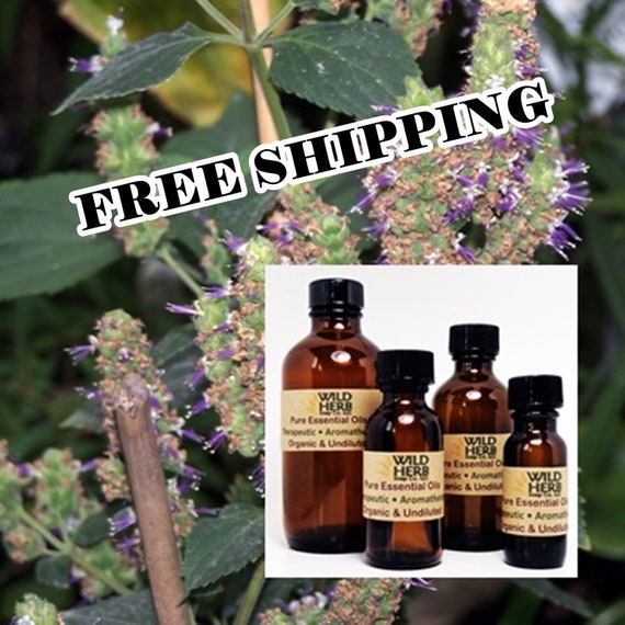 High quality patchouli oil hot sale