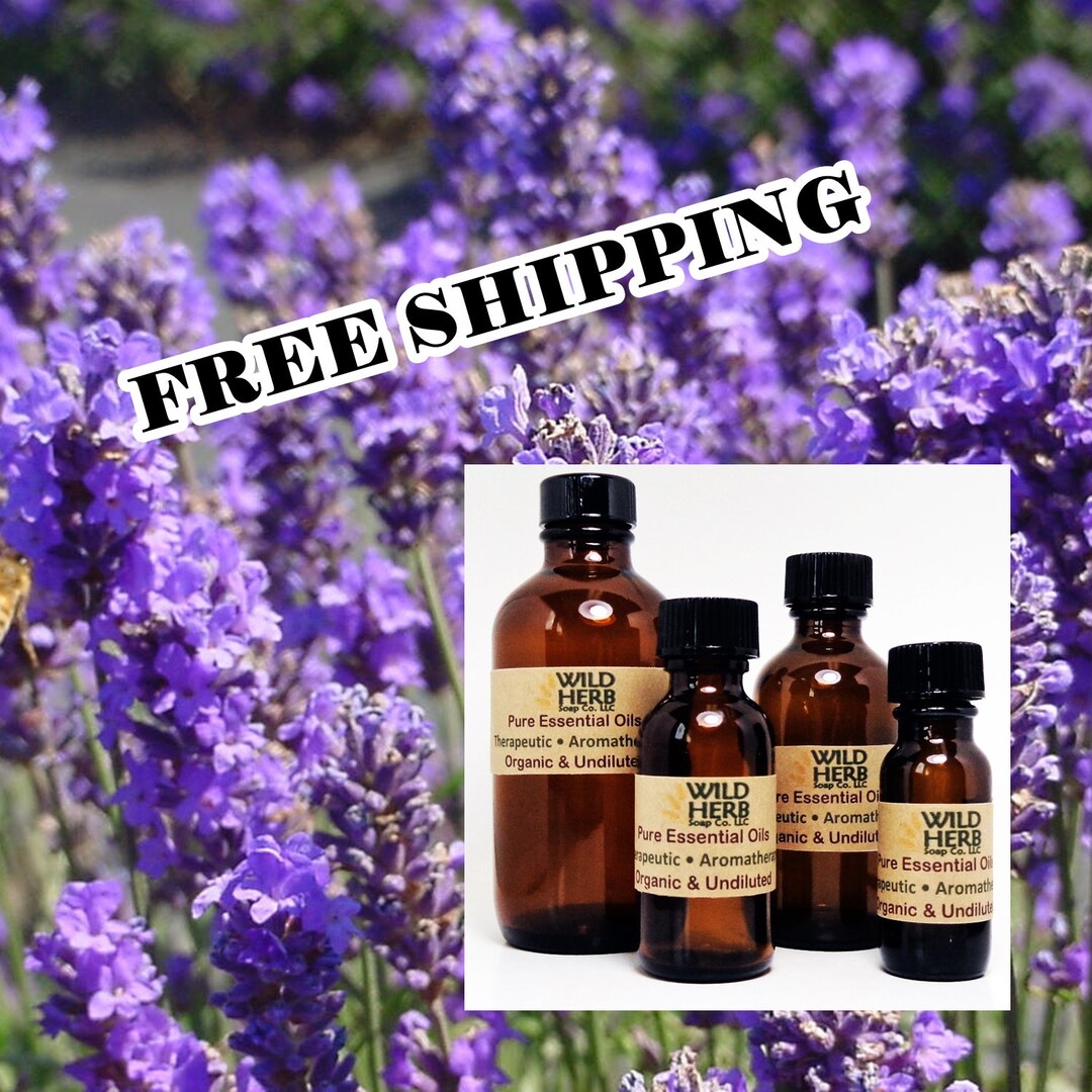 ORGANIC LAVENDER Essential Oil (40/42)| Imported from France | Therapeutic Grade | Best Seller | Fast Shipping | Sizes .5 oz to 8 oz & up