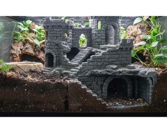 Crumbling Castle Hide and climb - Underground Viewing dungeon
