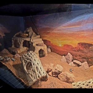 May include: A desert-themed reptile enclosure featuring a sandy substrate, scattered rocks, and two pieces of porous cholla wood. A tan, multi-level stone-like structure with stairs and arched openings sits in the back, set against a sunset backdrop.