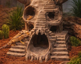 May include: A detailed terrarium scene featuring a beige skull-shaped hideaway with stairs and horns. A lizard rests on the steps. The enclosure has a brown substrate, green plants, and a warm overhead light.