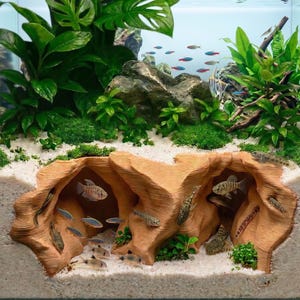 May include: An aquarium scene with a naturalistic design. The tank features live plants, rocks, and a sand substrate. Several small fish swim throughout the tank, including in and around a decorative cave structure. The water is clear, and the lighting is bright.