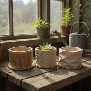 Peut inclure: Trois pots de fleurs beiges avec soucoupes sur une surface en bois. Les pots ont des textures différentes : l'un avec des rainures verticales, l'autre avec un motif en losange et l'autre avec des facettes géométriques. Une plante succulente est dans le pot du milieu. Mesures en cm.