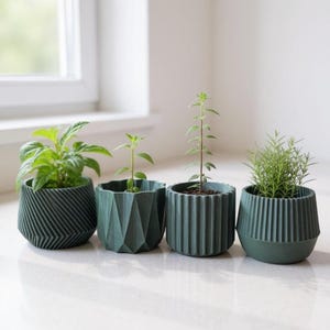 Pode incluir: Quatro pequenos vasos geométricos verde escuro com várias plantas verdes. Os vasos apresentam diferentes designs texturizados, incluindo linhas angulares, facetas geométricas e cristas verticais. As plantas variam em tamanho e tipo, com folhagem verde exuberante.