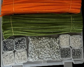 Chromosome Modeling Teacher's Kit: 24 Student Kits with Lesson Plan