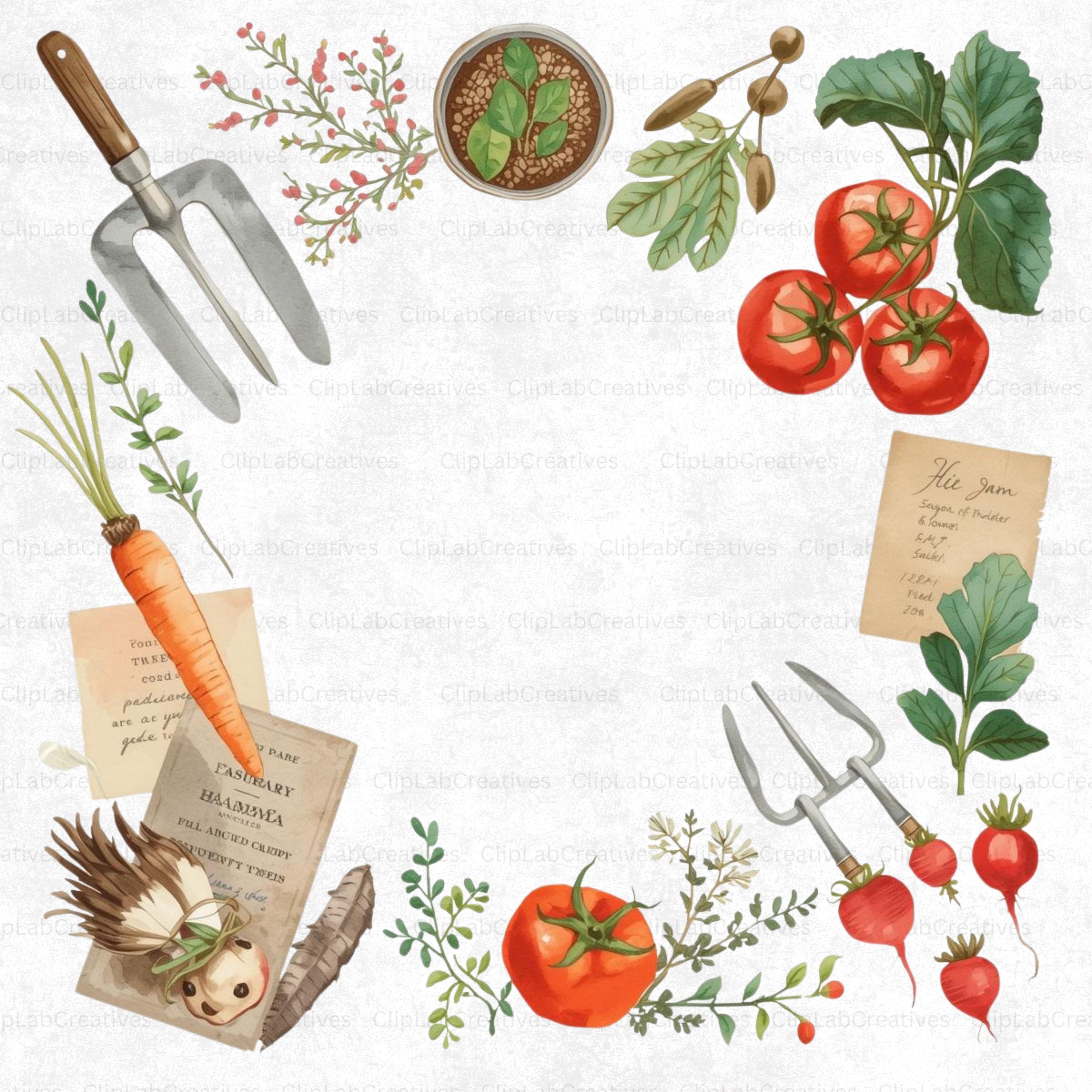 Cottage Vegetable Garden Clipart Bundle, Watercolor Veggie PNG ...