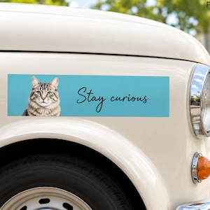 May include: A rectangular bumper sticker with a light blue background featuring a brown tabby cat on the left side and the black cursive text Stay curious on the right side, applied to the side panel of a cream-colored vintage vehicle.