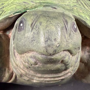 May include: A green turtle figurine featuring a textured shell and a detailed head with dark eyes. The surface of the turtle has a weathered appearance with subtle variations in green tones across the skin and the rounded shell structure.