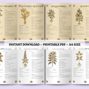 Baneful Herbs Grimoire Printable PDF – Poisonous Plants for Witchcraft & Ritual Magic | BOS Correspondence Pages image 3