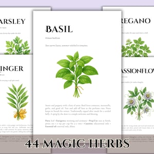 44 Witch Herb Cards Printable | Magical Properties | Green Witch Grimoire PDF