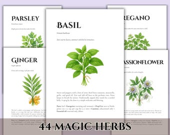 44 heksenkruidkaarten afdrukbaar | Magische eigenschappen | Grimoire groene heks pdf