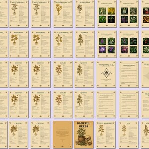 Baneful Herbs Grimoire Printable PDF – Poisonous Plants for Witchcraft & Ritual Magic | BOS Correspondence Pages image 5
