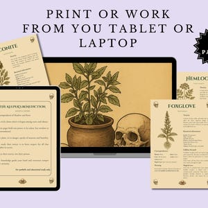 Baneful Herbs Grimoire Printable PDF – Poisonous Plants for Witchcraft & Ritual Magic | BOS Correspondence Pages image 8