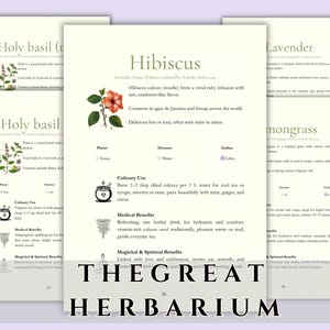 Herbario PDF: 68 perfiles de hierbas + libro de trabajo de hierbas (Canva editable / Descarga instantánea)