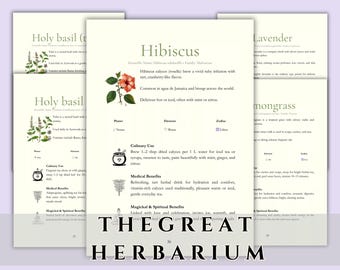 Herbarium PDF — 68 Herb Profiles + Herbal Workbook (Editable Canva | Instant Download)