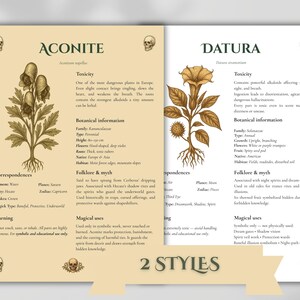 Baneful Herbs Grimoire Printable PDF – Poisonous Plants for Witchcraft & Ritual Magic | BOS Correspondence Pages image 2