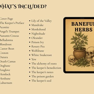 Baneful Herbs Grimoire Printable PDF – Poisonous Plants for Witchcraft & Ritual Magic | BOS Correspondence Pages image 4