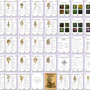 Baneful Herbs Grimoire Printable PDF – Poisonous Plants for Witchcraft & Ritual Magic | BOS Correspondence Pages image 6