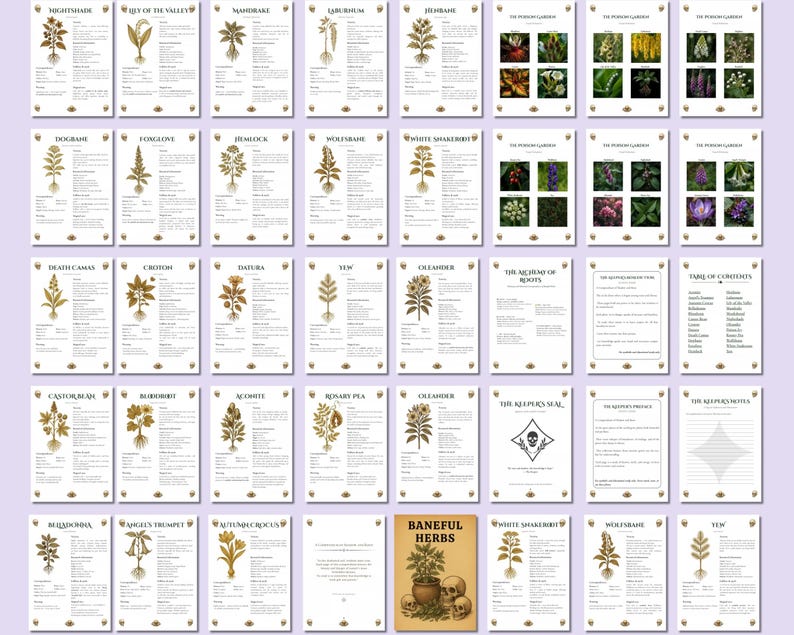 Baneful Herbs Grimoire Printable PDF – Poisonous Plants for Witchcraft & Ritual Magic | BOS Correspondence Pages image 6