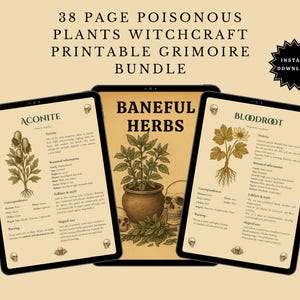 Baneful Herbs Grimoire Printable PDF – Poisonous Plants for Witchcraft & Ritual Magic | BOS Correspondence Pages image 7