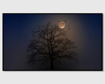 May include: A framed print featuring a silhouetted tree against a night sky. A full moon glows brightly, with several dark birds flying in front of it. The artwork has a dark, moody aesthetic, with a gradient of blue and black.