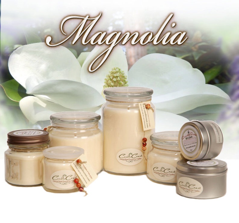 Magnolia Willow Poured Candle main image 1