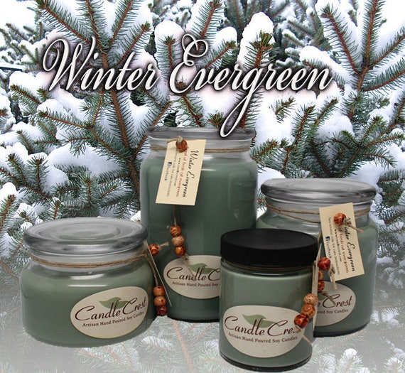 Winter Evergreen Christmas Scented Soy Candle Fragrance, Holiday Candle  Fragrance 