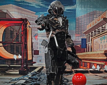 Raiden Cosplay - Metal Gear Rising