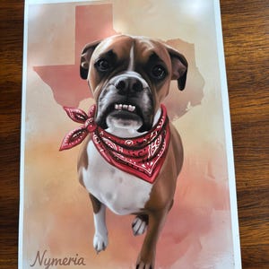 K&ouml;nnte beinhalten: Ein Portr&auml;t eines Boxerhundes mit rotem Halstuch, vor einem Hintergrund in Texas-Form. Der Hund, namens "Nymeria", hat braunes und wei&szlig;es Fell. Das Kunstwerk hat eine warme Farbpalette.