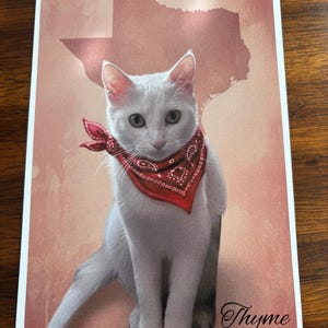K&ouml;nnte beinhalten: Ein Druck mit einer wei&szlig;en Katze mit rotem Halstuch, vor einem rosabraunen Hintergrund mit einer Texas-Umrisslinie. Die Katze ist der Mittelpunkt, mit dem Namen "Thyme" in Schreibschrift unten.