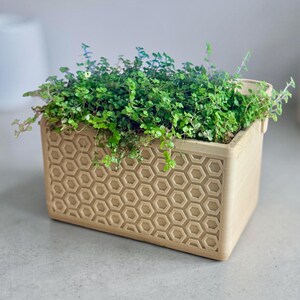 May include: A rectangular beige planter with a honeycomb pattern, filled with vibrant green plants. The planter has a textured surface and a simple, modern design, perfect for indoor or outdoor use. The plants spill over the edges, adding a natural touch.