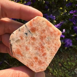 Può includere: Un esemplare di pietra del sole lucidata con una base traslucida color bianco sporco, vivaci inclusioni arancione-rosso scintillanti e distinte venature minerali nere. La pietra ha una forma esagonale piatta e irregolare.
