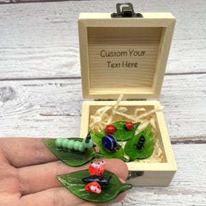 Könnte beinhalten: Eine Holzkiste mit dem eingravierten Text "Custom Your Text Here". Die Kiste enthält Glasfiguren von Insekten auf grünen, blattförmigen Unterlagen. Eine Hand hält zusätzliche Glasinsekten, darunter eine Raupe, Marienkäfer und eine Schnecke.