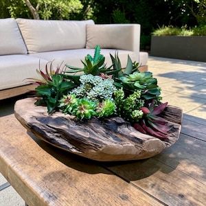 Può includere: Una collezione di piante succulente artificiali in varie tonalità di verde, verde chiaro e rosso scuro, disposte all'interno di un pezzo naturale di legno galleggiante scavato di colore marrone scuro. Le piante presentano texture diverse, tra cui forme appuntite e a rosetta.