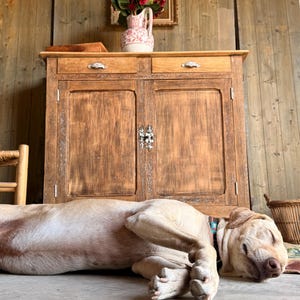Peut inclure: Un chien au pelage court de couleur beige clair est allongé sur un sol en béton. Le chien a les yeux fermés et porte un collier sombre. Derrière le chien se trouve une armoire en bois avec deux tiroirs et deux portes, dotée de poignées en métal.