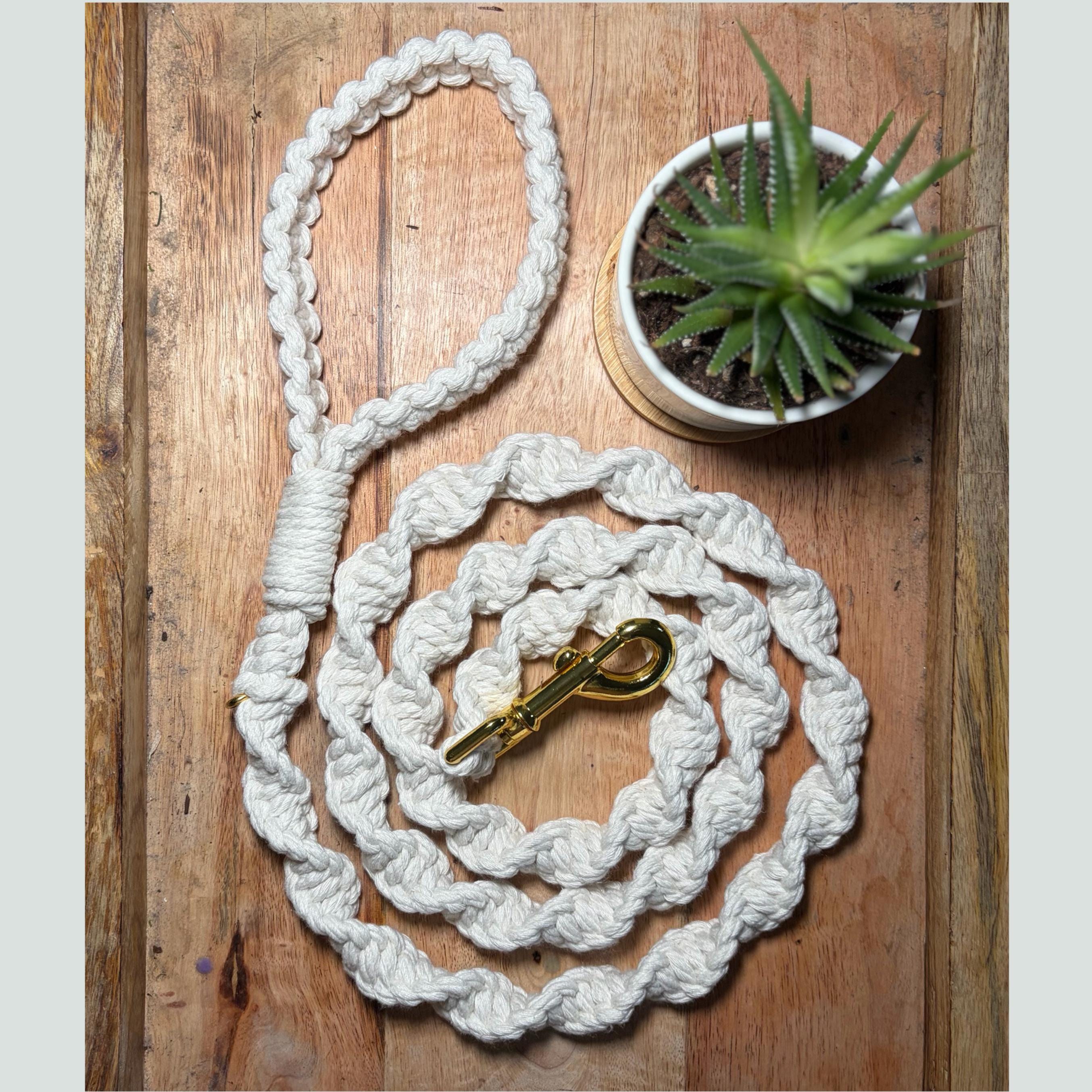 Natural Cotton Spiral Knot Dog Leash, Square Knot Handle & Gold Hardware