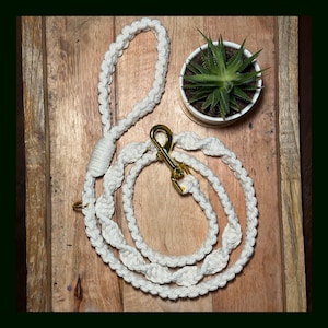 May include: A white macrame dog leash with a gold-colored clasp and hardware. The leash is coiled on a wooden surface, next to a small potted succulent plant. The leash is made of thick, braided cotton rope.