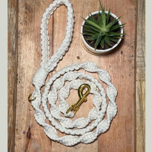 May include: White macrame dog leash with a gold-colored clasp and ring. The leash is coiled on a wooden surface, next to a small potted succulent plant. The leash is made of a thick, woven material.