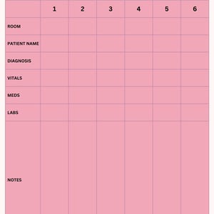 May include: A pink Clinical Brain Sheet with a grid layout. The sheet includes sections for ROOM, PATIENT NAME, DIAGNOSIS, VITALS, MEDS, LABS, and NOTES. The title "Clinical Brain Sheet" is at the top.