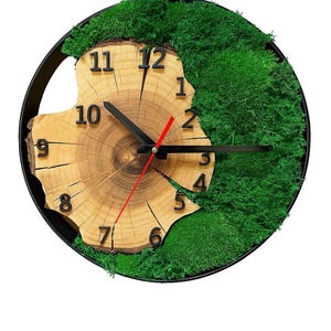 Reloj de pared de musgo, rodaja de madera natural hecha a mano, decoración rústica para el hogar.
