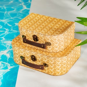 Rattan impressão estilo bege marrom conjunto de 2 malas prateleira de armazenamento empilhamento alça de transporte fotos memórias konmari arrumar casa