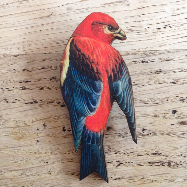 Red and Blue Tropical Bird Wooden Brooch Pin Flying Birds Woodland Gift Watcher Wildlife Nature Birthday for Her Small Present Christmas