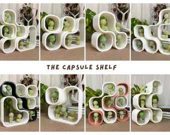 Capsule Shelf Collection 1 : Figurines, Smiski & Mini-Figures Display - 3D Printed Shelf Decoration