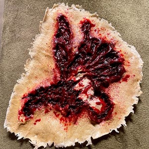 May include: A prosthetic appliance designed to resemble human skin with a deep, jagged laceration. The wound features textured, dark red, and glossy blood-like material set against a pale, beige, irregular-shaped silicone base with frayed edges.