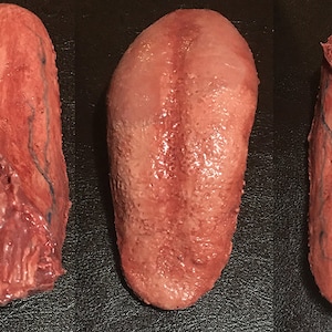 Realistic Tongue Prop-Severed Human - Model C - FX Collection