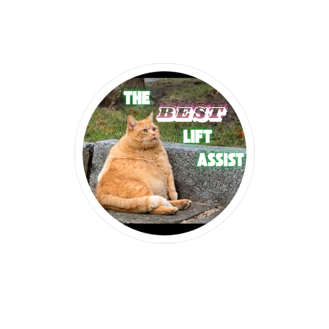 Asist Sticker Chubby Orange Cat Sticker | 'the Lift Assist' Vinyl Decal - Etsy