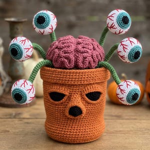May include: A crocheted orange pot with a face featuring black eyes and a nose, containing a pink brain-shaped top. Five green stalks extend from the pot, each topped with a white, teal, and black eyeball featuring red vein details.